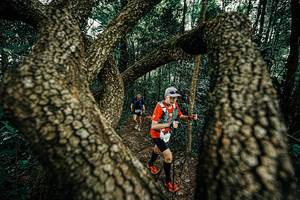 BIB: 
                            <button type="button" onclick="openModal(25392924)" class="btn btn-primary btn-sm float-right btn-popup" data-toggle="modal" data-target=".modal-high-quality">
                        <i class="fas fa-shopping-cart"></i> Add to Cart
                    </button>
                                            <button type="button" onclick="isThisMe(25392924, true)" class="btn btn-success btn-sm float-right btn-popup btn-isme hidden" data-toggle="tooltip" data-placement="bottom" title="นี่คือรูปของคุณใช่ไหม คลิกที่นี่เพื่อเอาเข้าอัลบั้ม">
                        <i class="fas fa-plus"></i> Add to album
                    </button>
                    <button type="button" onclick="isThisMe(25392924, false)" class="btn btn-warning btn-sm float-right btn-popup btn-isnotme hidden">
                        <i class="fas fa-ban"></i> Remove from album
                    </button>